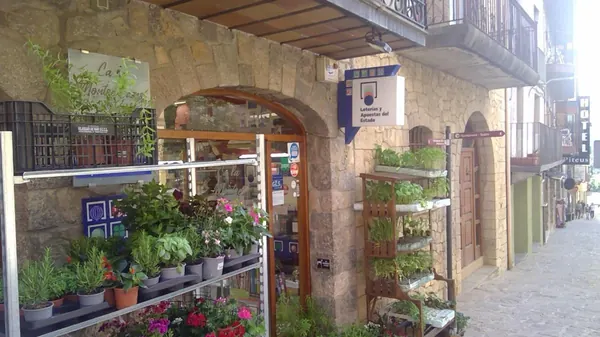 Imagen del punto de venta de Lotería
